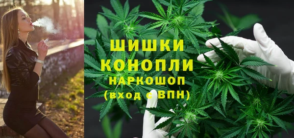 сатива Алзамай