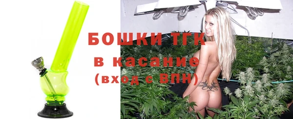 сатива Алзамай
