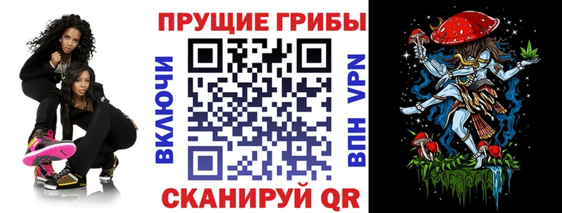 Галлюциногенные грибы MAGIC MUSHROOMS  Нытва 